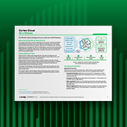 Cortex Cloud in sintesi