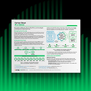 Cortex Cloud in sintesi