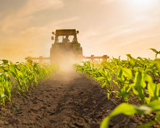 Foto azienda agricola